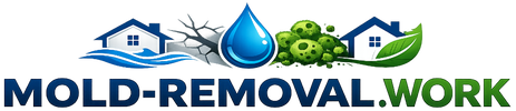 Mold Removal